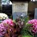 The tomb of Franciszek Boxa Radoszewski in Warsaw city