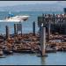 Pier 39 Marina in San Francisco, California city