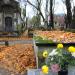 The tomb of Walenty Pawłowski in Warsaw city