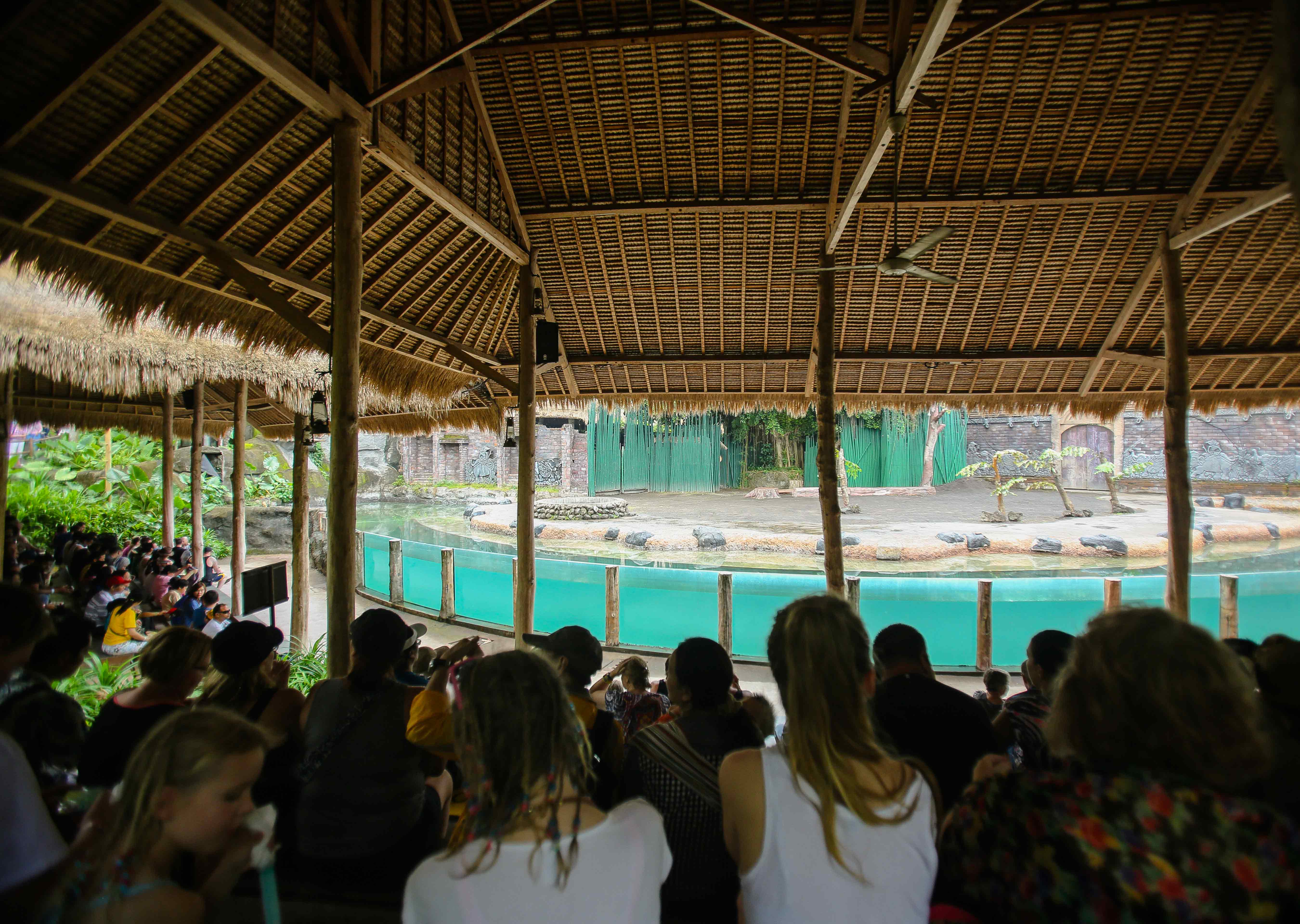Bali Safari And Marine Park
