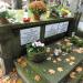 The tomb of  Szadkowski family in Warsaw city