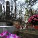 The tomb of  Dzidzia Panuszewska in Warsaw city