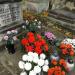 The tomb of Anna Kusiakowska in Warsaw city