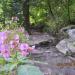 Valley of Flowers (National Park, part of Nanda Devi Biosphere)