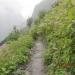 Valley of Flowers (National Park, part of Nanda Devi Biosphere)