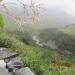 Valley of Flowers (National Park, part of Nanda Devi Biosphere)