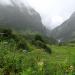 Valley of Flowers (National Park, part of Nanda Devi Biosphere)