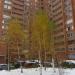 Вокзальная ул., 51 в городе Одинцово