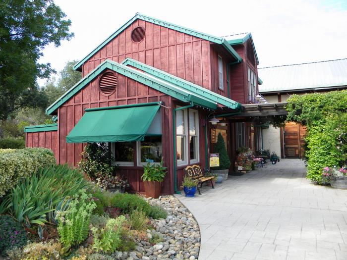 Irish Vineyards winery, vineyard / grape plantation