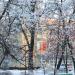 просп. Карла Маркса, 57 в городе Каменск-Шахтинский
