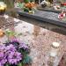 The grave of Tadeusz Kotarbiński in Warsaw city
