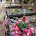 The Tomb of Lucjan Kydryński in Warsaw city