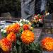 The Tomb of Kamila Skolimowska in Warsaw city
