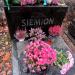 The Tomb of Wojciech Juliusz Siemion. in Warsaw city