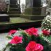 The tomb of Zofia Hertz in Warsaw city