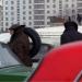 ГСК «Тропарево-1» в городе Москва