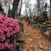 The tomb of Olimpia Libicka in Warsaw city