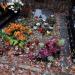 The grave of Maciej Zembaty in Warsaw city