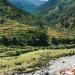 Gangotri National Park