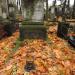 The tomb of Anastazja Grohmann in Warsaw city