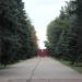 Братская могила погибших за освобождение Днепра в городе Днепр