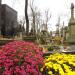Quarter 159 in Warsaw city