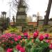 The tomb of  Majewski family in Warsaw city