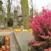The tomb of  Witkowski family in Warsaw city