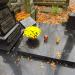 The tomb of Anna Starczewska in Warsaw city