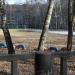 Футбольная площадка в городе Красногорск