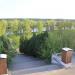 Лестница-спуск к Москве-реке в городе Архангельское