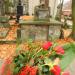 The tomb of  Józewicz family in Warsaw city