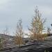Снесенный жилой дом (Краснофлотская ул., 73) в городе Серов