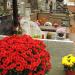 The tomb of Anna Peuker in Warsaw city