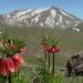 Sahand Mountain Range