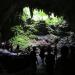 Camuy River Cave National Park