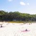 Wattamolla Beach and Lagoon