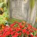The tomb of  Apolonija Wienjawska in Warsaw city