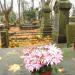 The tomb of Justyna Obrębska in Warsaw city