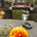 The tomb of Ferdynand Newlin-Wagner in Warsaw city