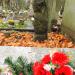 The grave of  Lucyna Peszkowska in Warsaw city