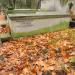 The grave of Chodzicki family in Warsaw city