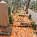 The grave of Skowroński family in Warsaw city