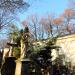 The grave of Jan Nepomucen Durecki in Warsaw city