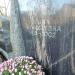 The grave of Wiktor Woroszylski in Warsaw city