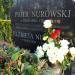 The grave of Piotr Nurowski in Warsaw city