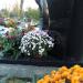 The tomb of Grzegorz Ciechowski in Warsaw city