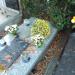 The tomb of Janusz Przymanowski in Warsaw city