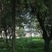 Территория школы в городе Демидов