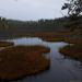 Nyrok lake